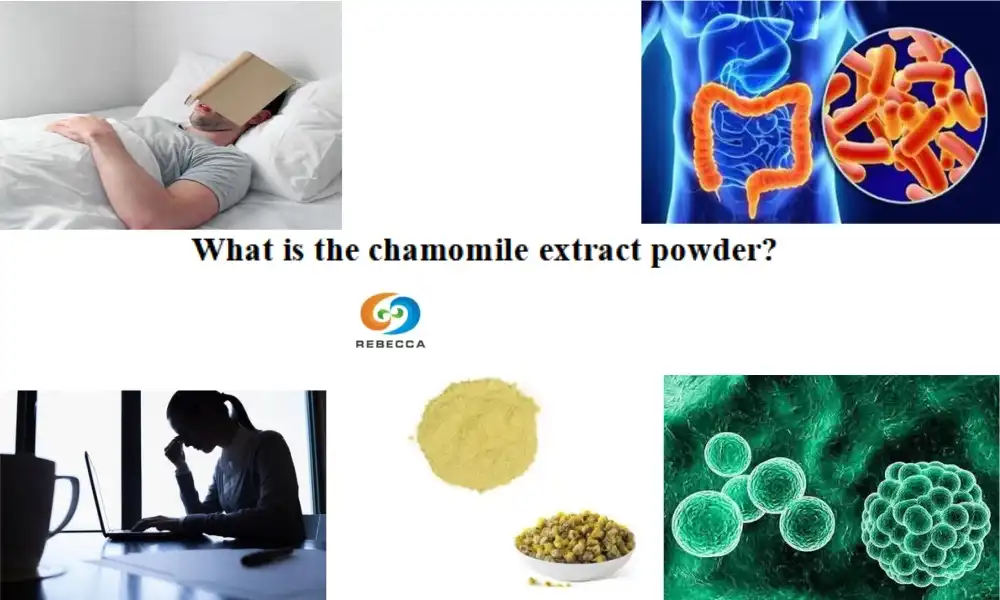 What is the chamomile extract powder?